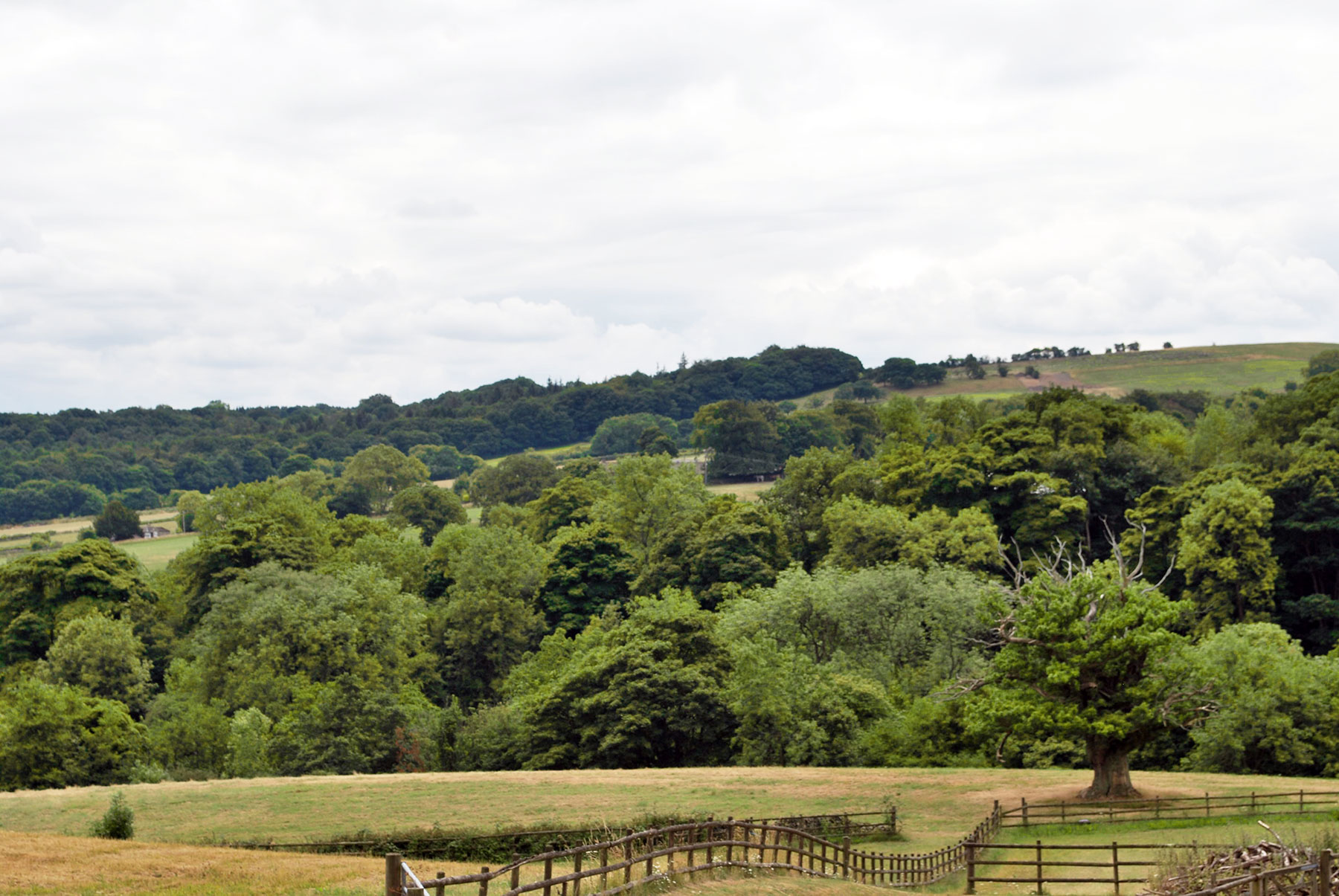 Conversion and Eco new build, Sheffield